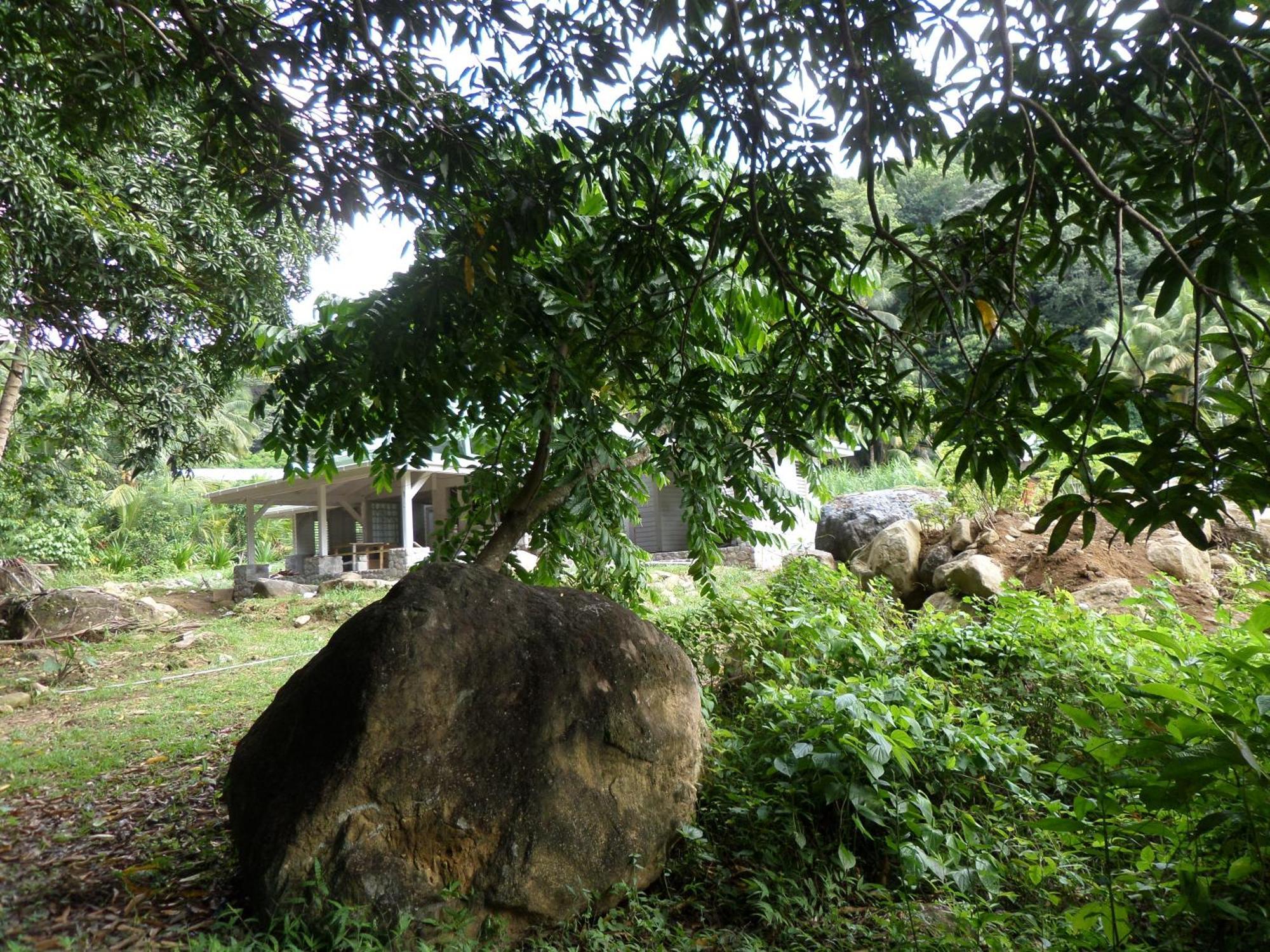 Willa Citrus Creek Plantation La Plaine Pokój zdjęcie