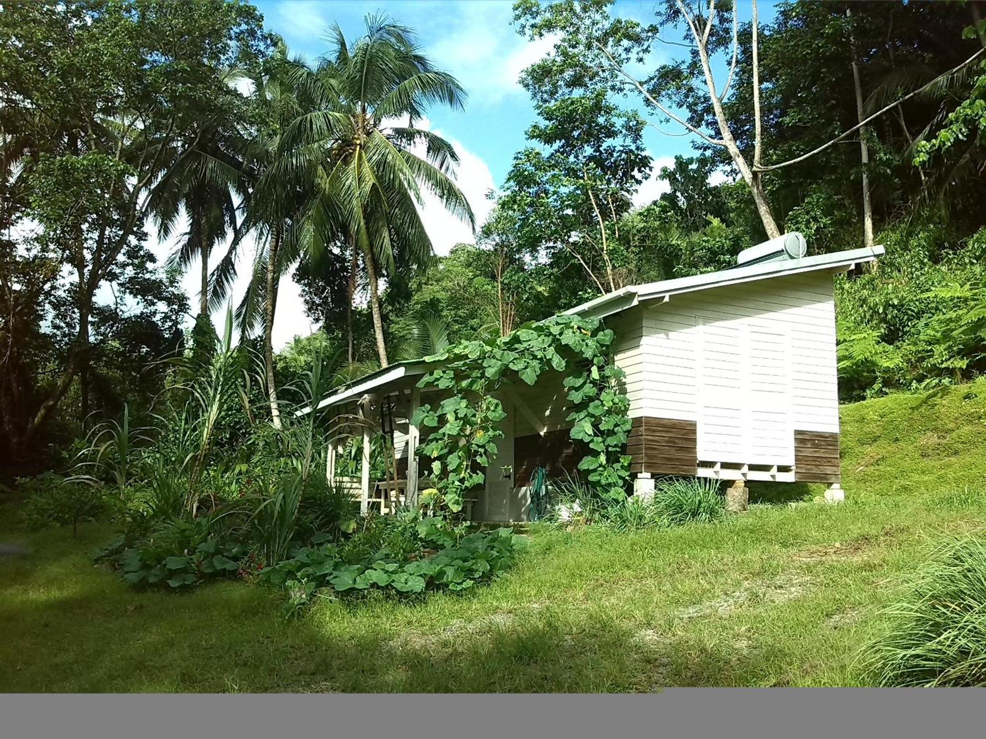 Willa Citrus Creek Plantation La Plaine Pokój zdjęcie
